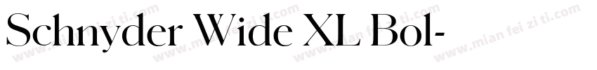 Schnyder Wide XL Bol字体转换